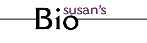 Susan Andersen